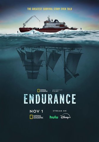 Endurance poster
